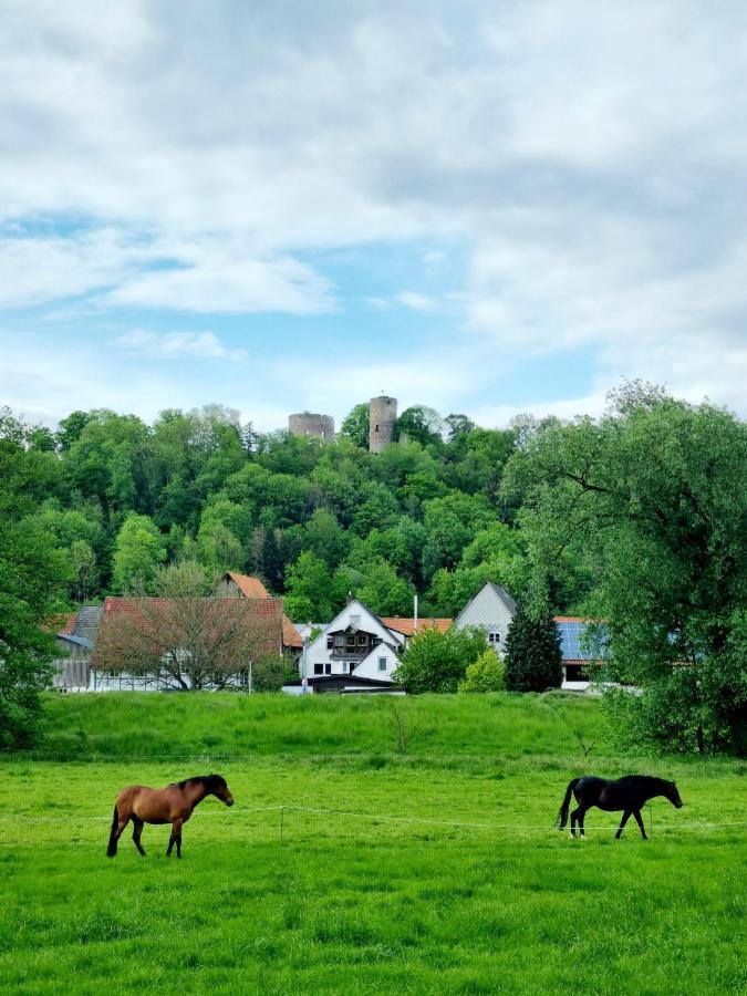 Ferienhaus Diemelaue Mit Klimaanlage Bad Karlshafen Zewnętrze zdjęcie